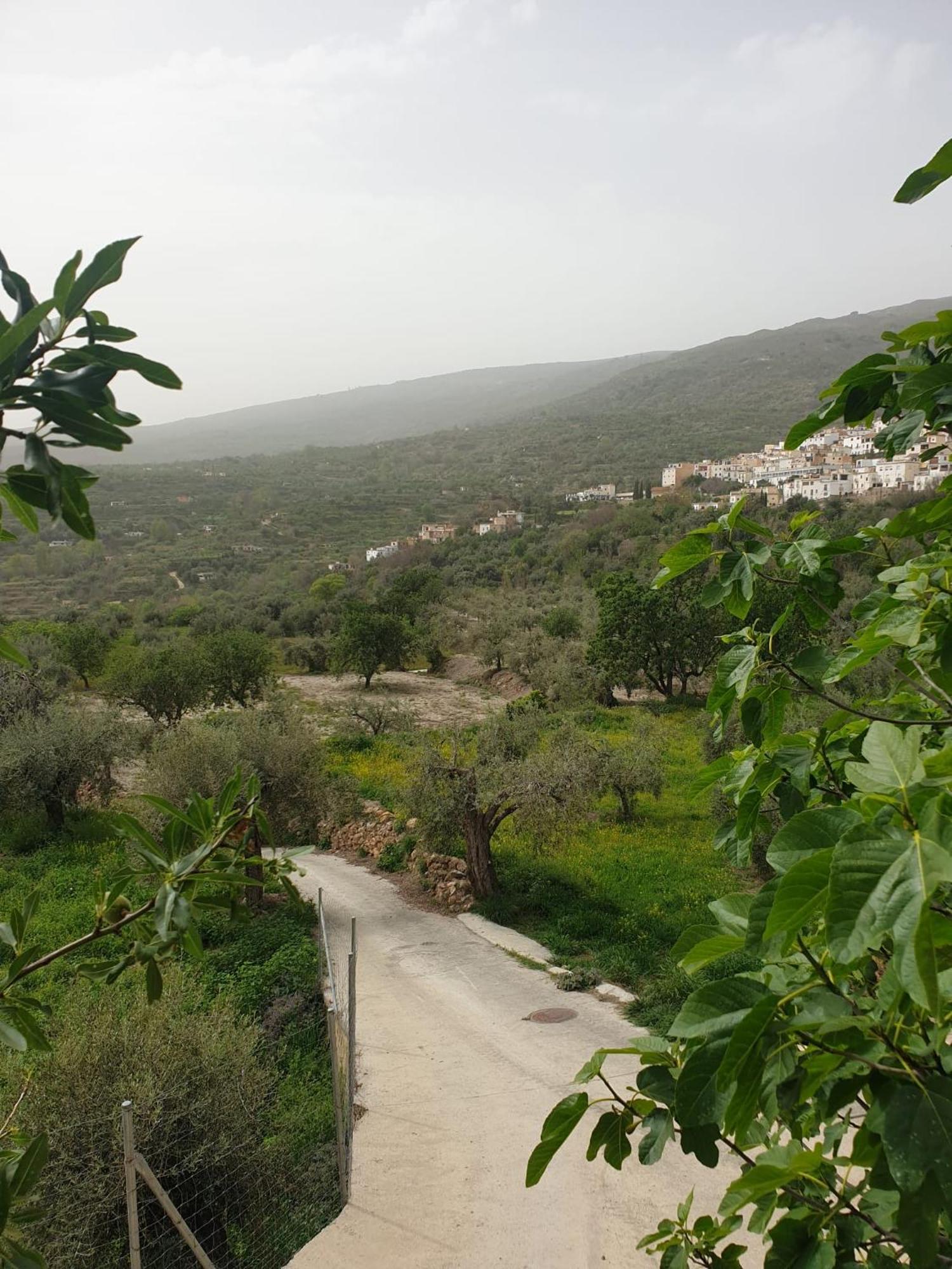 Casa Carrie Διαμέρισμα Válor Εξωτερικό φωτογραφία